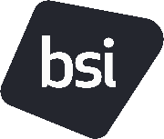British Standards Institution Logo